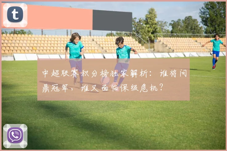 中超联赛积分榜独家解析：谁将问鼎冠军，谁又面临保级危机？