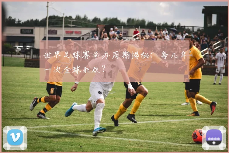 世界足球赛举办周期揭秘：每几年一次全球狂欢？